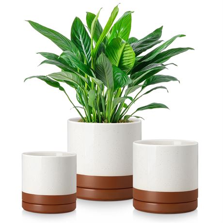 vancasso Ceramic Plant Pots, Set of 3, with Drainage Hole and Saucer, Khaki