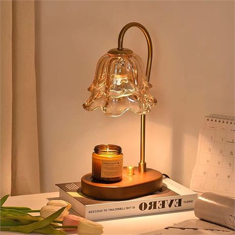 XFCLUB Candle Warmer Lamp with Timer and Dimmable, 2 Bulbs